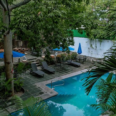 Zihuatanejo Studio Dış mekan fotoğraf